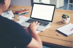 essay editor